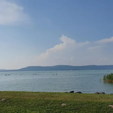 Lelle Exclusive * 巴拉通雷勒